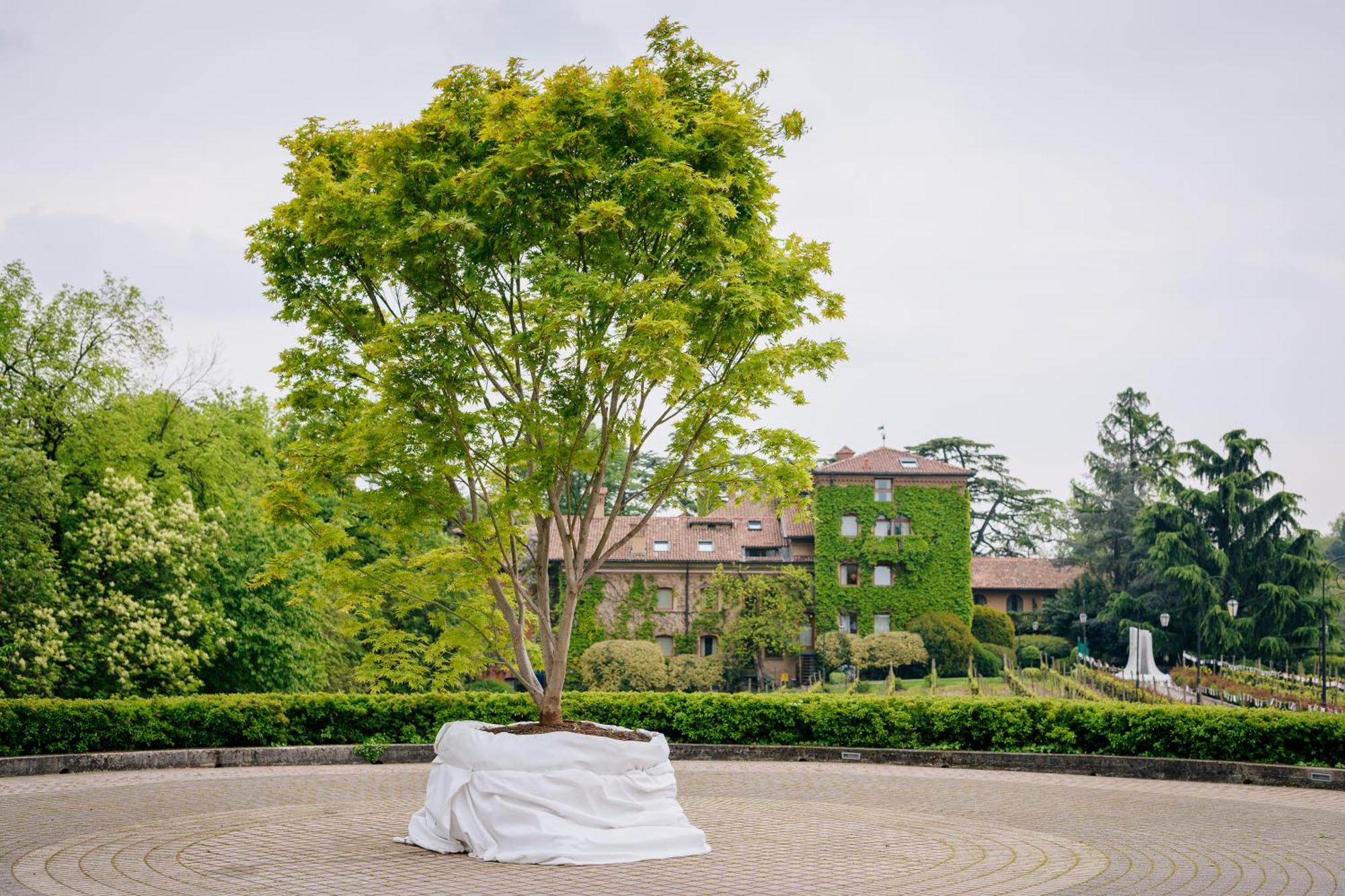 L'Albereta Relais & Chateaux แอร์บุสโก ภายนอก รูปภาพ